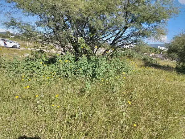 Terreno en venta en Hacienda Grande, Tequisquiapan — foto 3 de 10