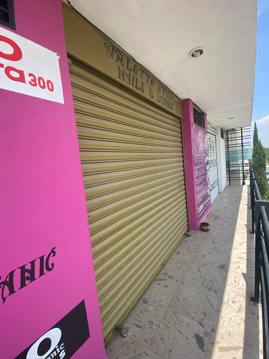 Local en renta en Paseos de Chavarría, Mineral de la Reforma — foto 1 de 5