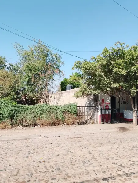 Terreno en venta en Echeverria, Autlán de Navarro — foto 2 de 6