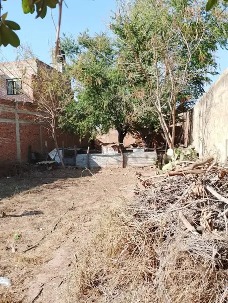 Terreno en venta en Echeverria, Autlán de Navarro — foto 3 de 6