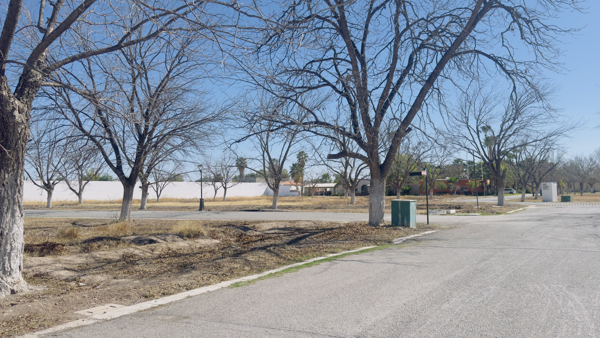 Terreno en venta en San Armando, Torreón — foto 2 de 9