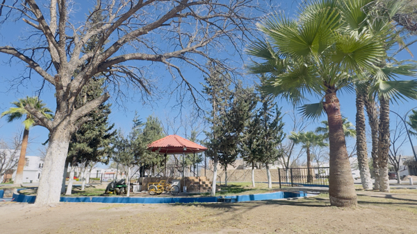 Terreno en venta en San Armando, Torreón — foto 2 de 7