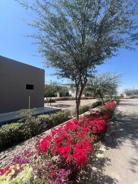 Terreno en venta en Las Trojes, Torreón — foto 2 de 4