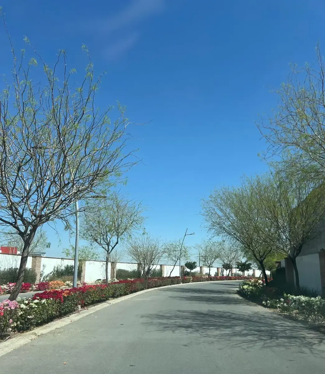 Terreno en venta en Las Trojes, Torreón — foto 1 de 4