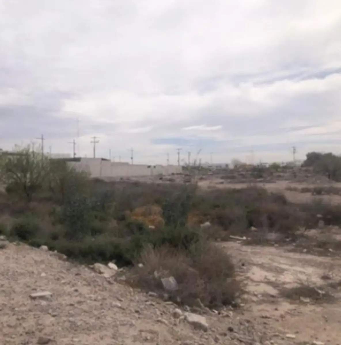 Terreno en venta en La Union, Torreón — foto 1 de 2