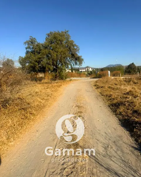 Terreno en venta en Zempoala Centro, Zempoala — foto 2 de 12