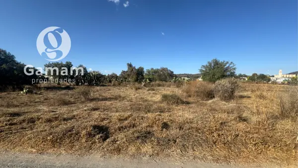 Terreno en venta en Zempoala Centro, Zempoala — foto 3 de 12