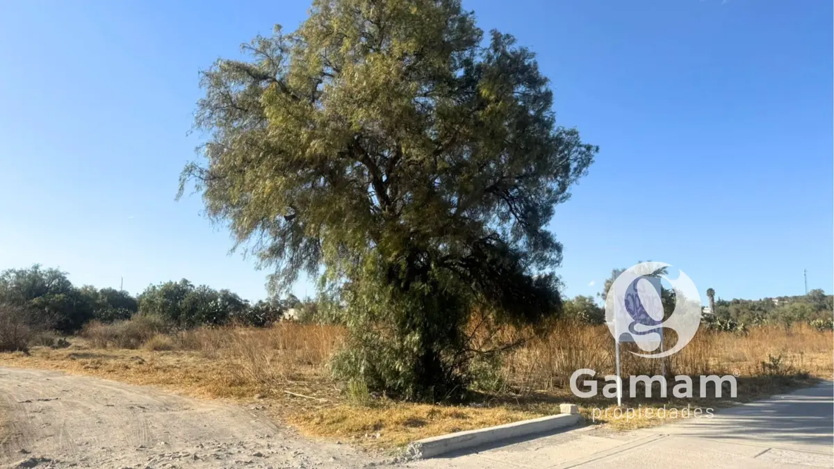 Terreno en venta en Zempoala Centro, Zempoala — foto 1 de 12