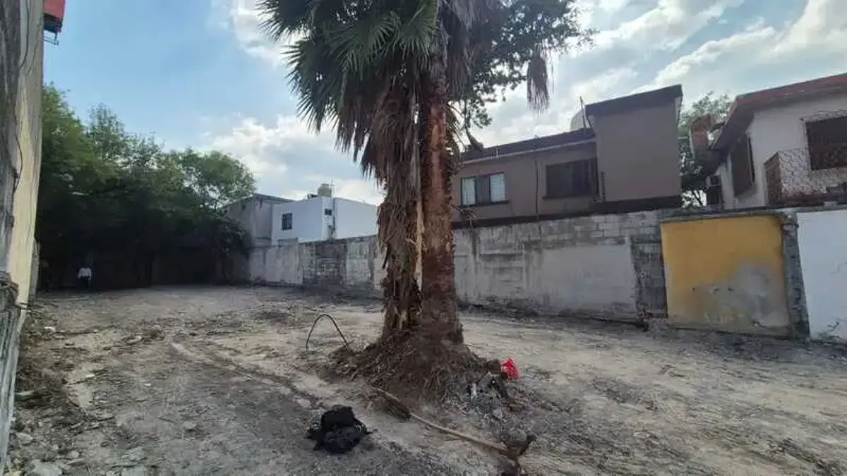 Foto 7