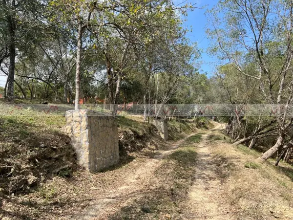 Terreno en venta en Vista de Allende, Allende — foto 3 de 12