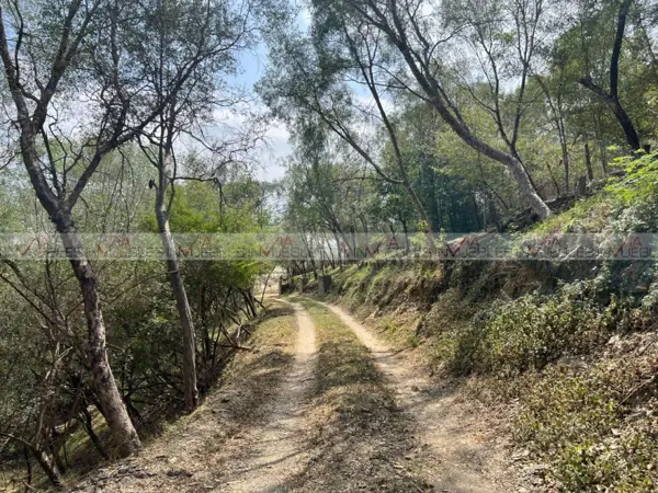 Terreno en venta en Vista de Allende, Allende — foto 2 de 12