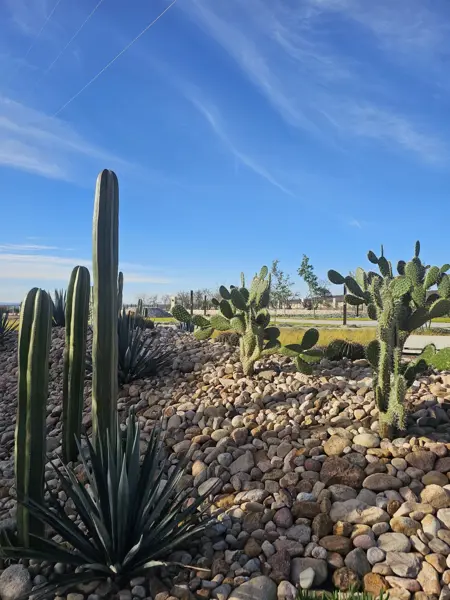 Terreno en venta en La Valenciana, León — foto 3 de 9