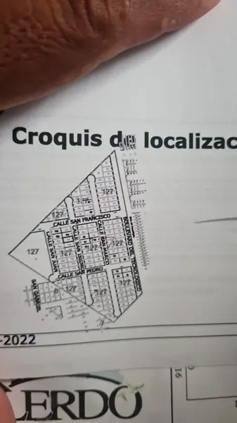 Terreno en venta en San Francisco, Lerdo — foto 3 de 4