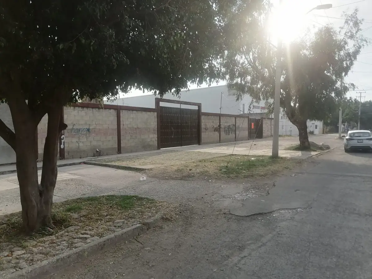 Quinta en venta en Plan de Guanajuato, Irapuato — foto 1 de 15
