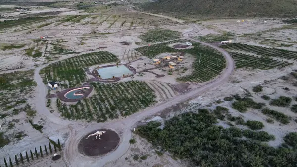 Terreno en venta en La Rosa, General Cepeda — foto 3 de 14