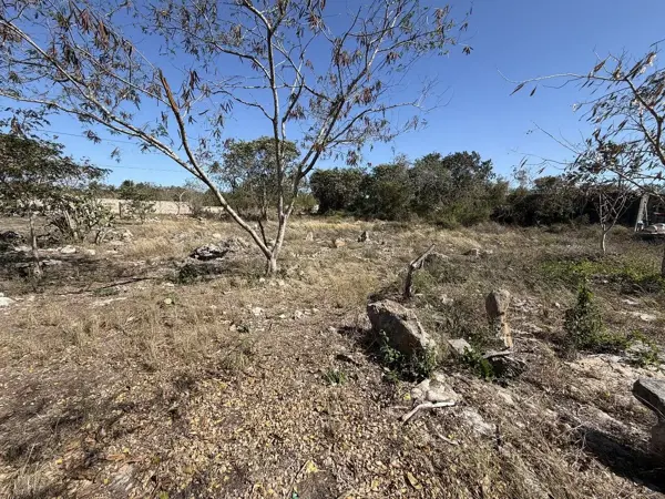 Terreno en venta en Chichi Suarez, Mérida — foto 2 de 9