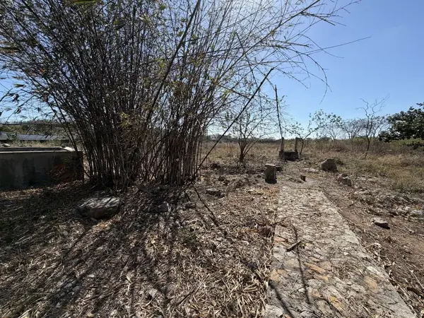 Terreno en venta en Chichi Suarez, Mérida — foto 3 de 9