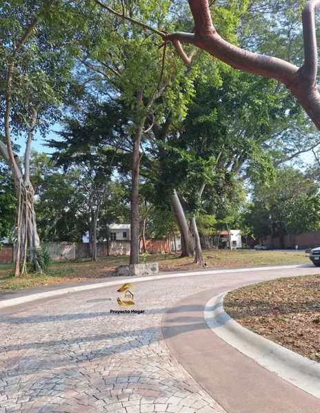 Terreno en venta en Nogueras, Comala — foto 3 de 10