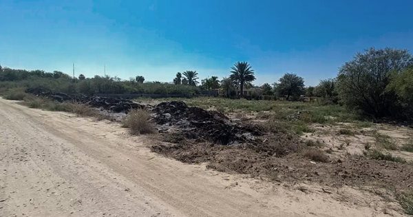 Terreno en venta en Ejido San Miguel, Matamoros — foto 2 de 6