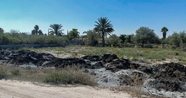 Terreno en venta en Ejido San Miguel, Matamoros — foto 3 de 6