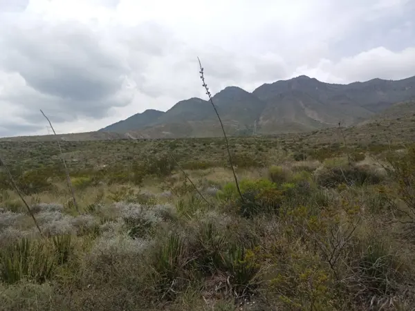 Terreno en venta en Valencia, Saltillo — foto 3 de 7