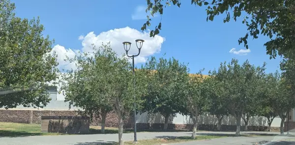 Terreno en venta en Las Trojes, Torreón — foto 3 de 4