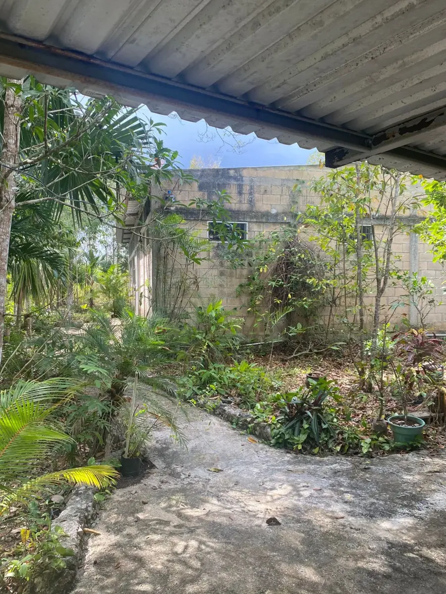 Terreno en venta en La Amistad, Benito Juárez — foto 1 de 8