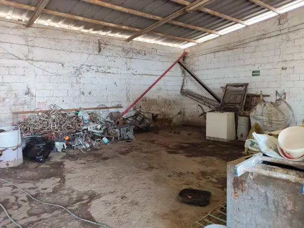 Bodega en venta en Armando del Castillo Franco, Lerdo — foto 3 de 6