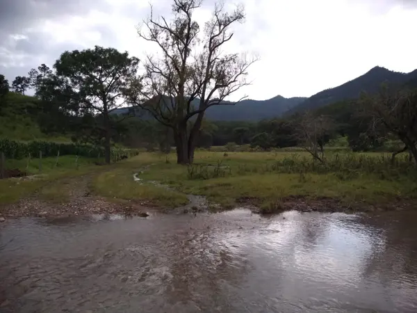 Terreno en venta en Talpa de Allende Centro, Talpa de Allende — foto 3 de 15