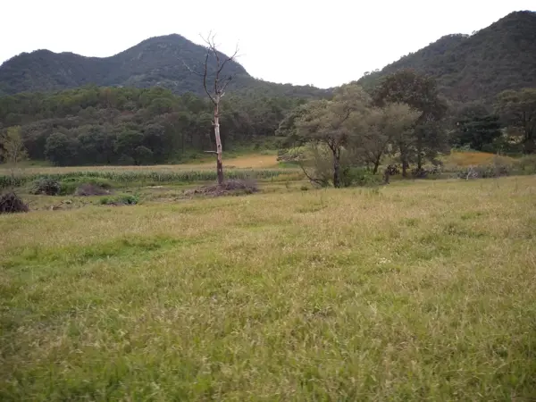 Terreno en venta en Talpa de Allende Centro, Talpa de Allende — foto 2 de 15