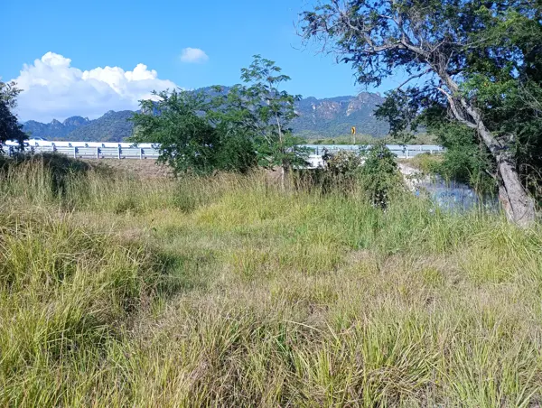 Terreno en venta en Ángel Bocanegra (Adolfo López Mateos), Tepoztlán — foto 3 de 6