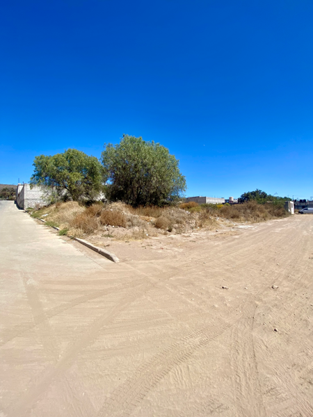 Terreno en venta en Pachuquilla, Mineral de la Reforma — foto 2 de 4