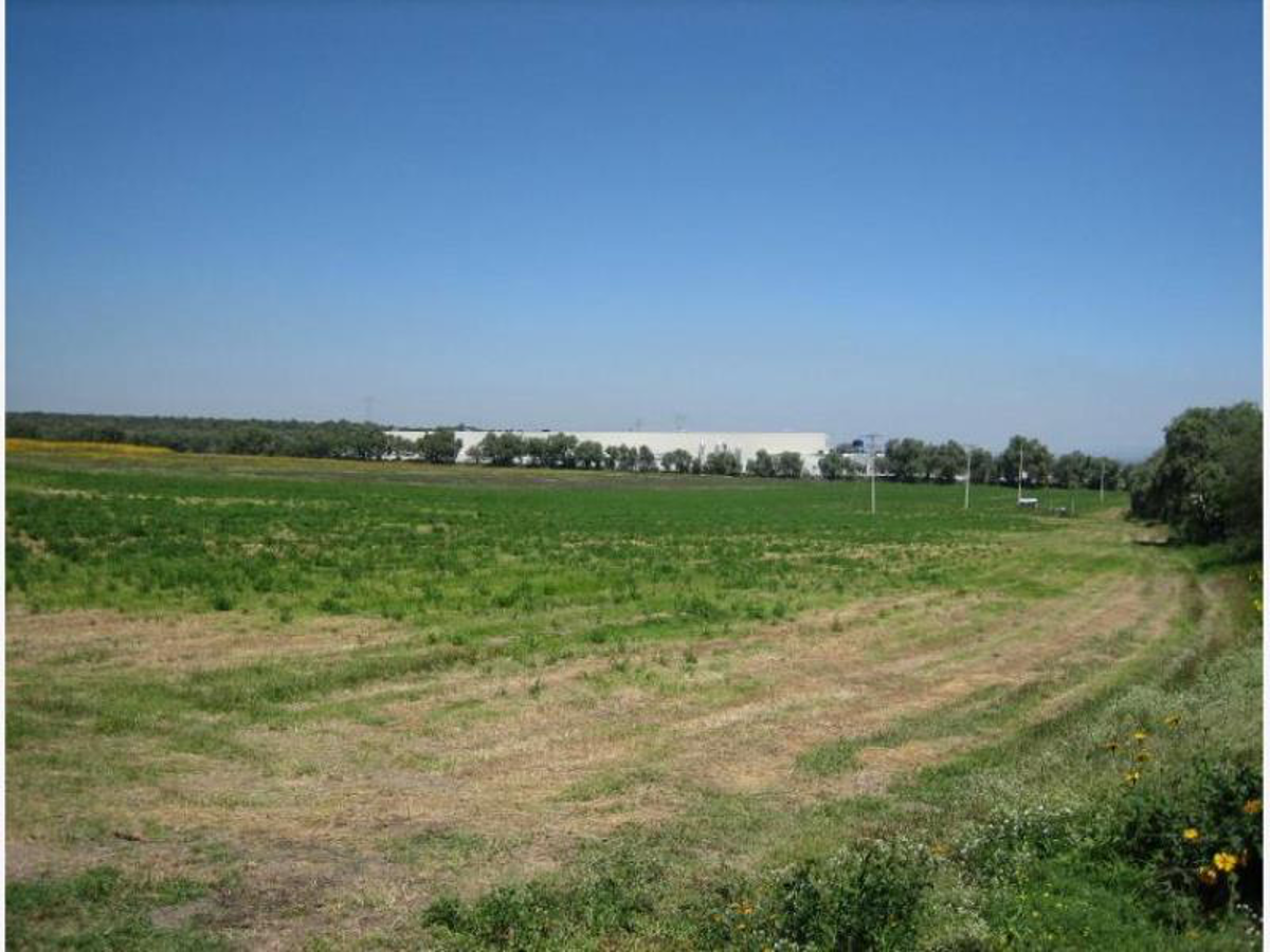 Terreno en venta en El Mastranto, San José de Iturbide — foto 1 de 9