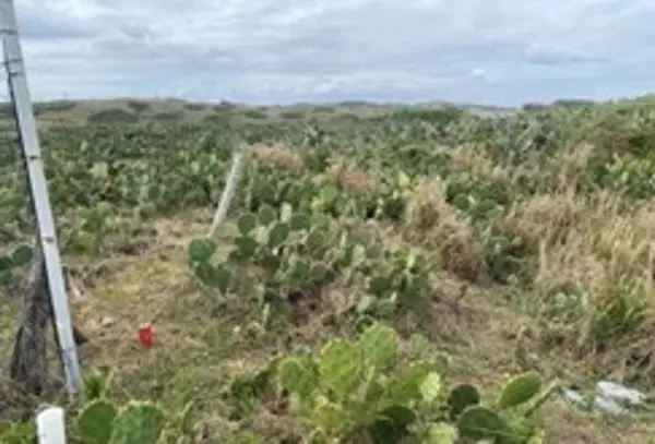 Terreno en venta en Camaronera, Alvarado — foto 2 de 18