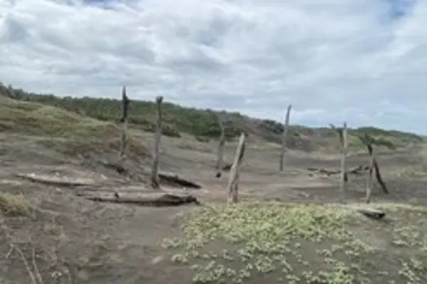 Terreno en venta en Camaronera, Alvarado — foto 3 de 18
