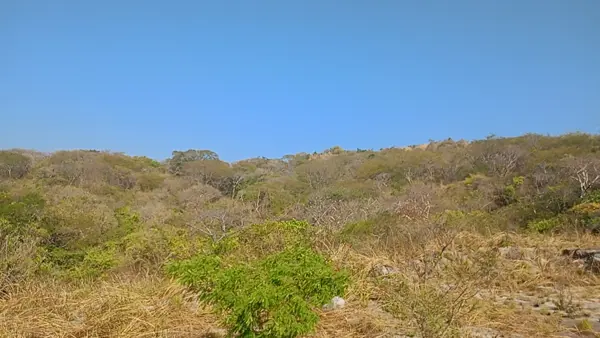 Terreno en renta en San Pedro Tapanatepec Centro, San Pedro Tapanatepec — foto 3 de 7