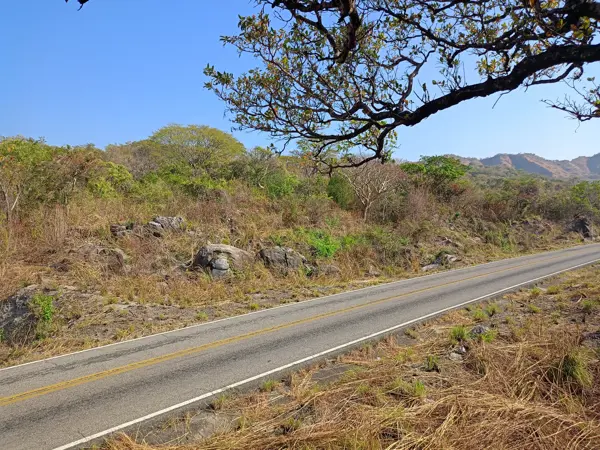 Terreno en renta en San Pedro Tapanatepec Centro, San Pedro Tapanatepec — foto 2 de 7