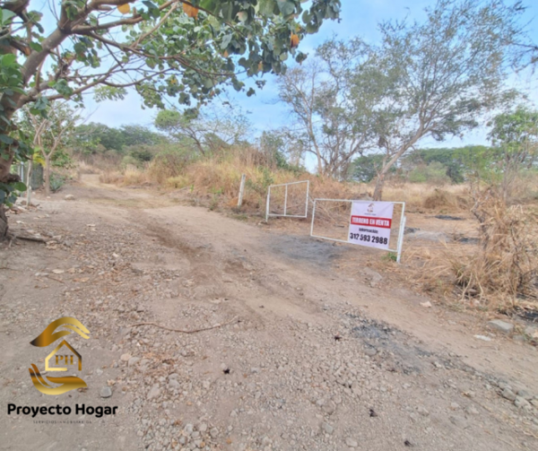 Terreno en venta en El Chivato (Providencia), Villa de Álvarez — foto 2 de 8