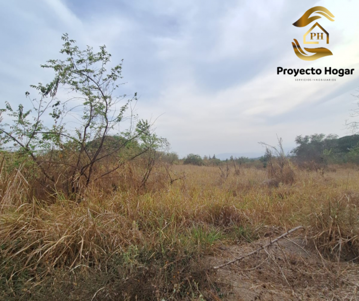 Vista 5 de TERRENO EN VENTA EN VILLA DE ÁLVAREZ, COLIMA