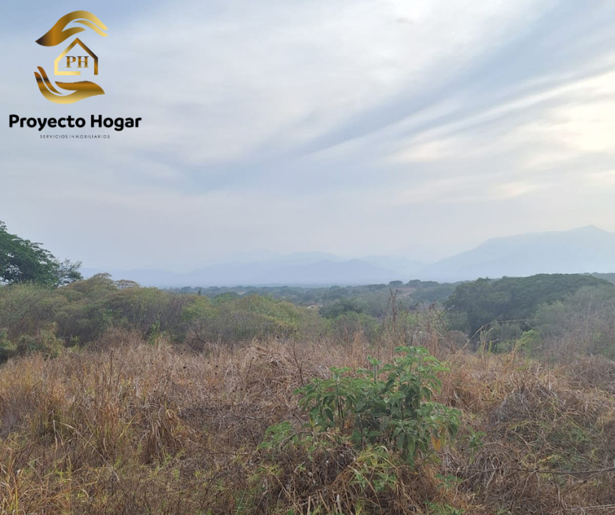 Vista 4 de TERRENO EN VENTA EN VILLA DE ÁLVAREZ, COLIMA