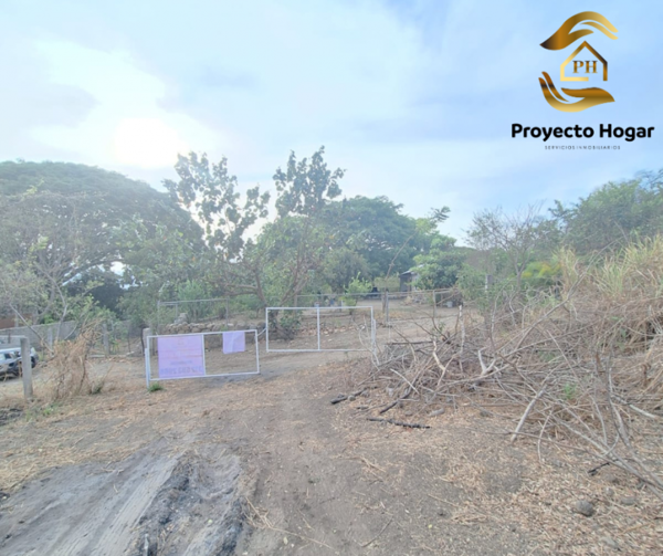 Terreno en venta en El Chivato (Providencia), Villa de Álvarez — foto 3 de 8