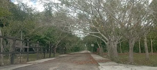 Terreno en venta en Leona Vicario, Puerto Morelos — foto 2 de 17