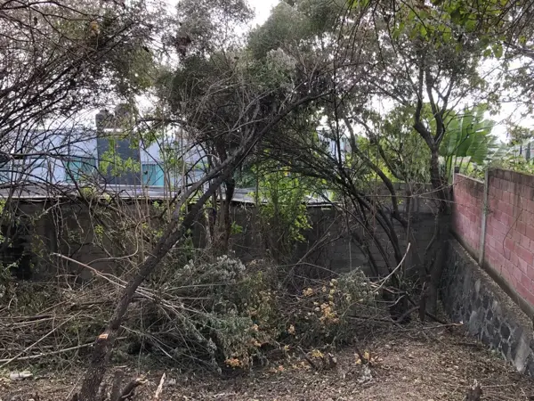 Terreno en venta en Metepec, Atlixco — foto 2 de 10