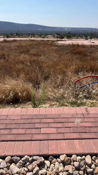 Terreno en venta en Ciudad Maderas, Lagos de Moreno — foto 2 de 14