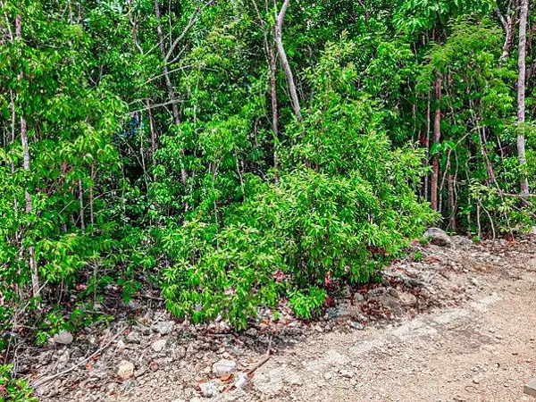 Terreno en venta en Temozon Norte, Mérida — foto 3 de 8