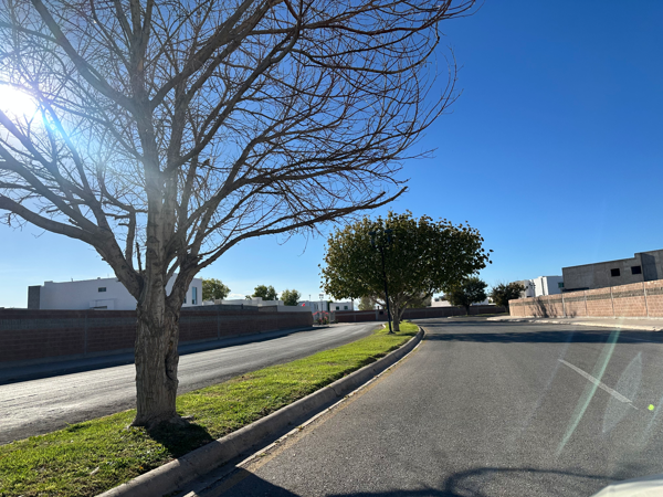 Terreno en venta en Villas del Renacimiento, Torreón — foto 3 de 7