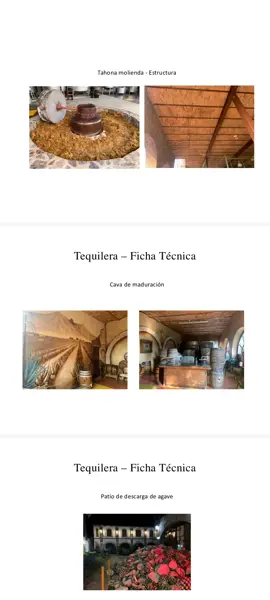 Bodega en venta en Tequila Centro, Tequila — foto 2 de 6