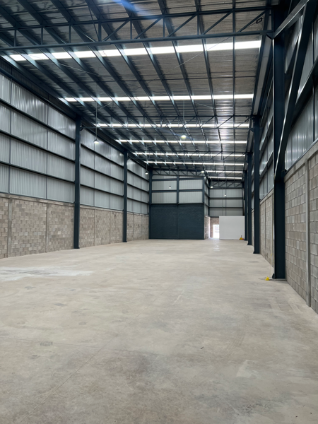 BODEGA 821 /708 ALB/DDL