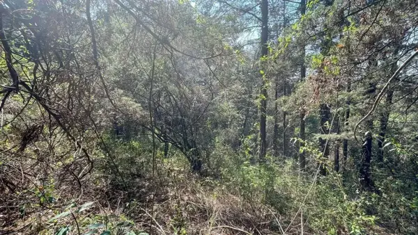 Terreno en venta en San Mateo Tlaltenango, Cuajimalpa de Morelos — foto 3 de 8
