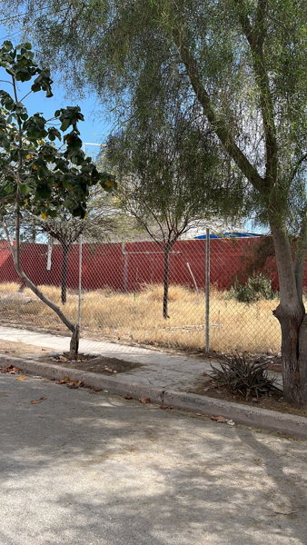 Terreno en renta en Residencial las Etnias, Torreón — foto 3 de 5